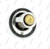 NPS S153I08 Thermostat, coolant